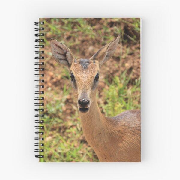 Item preview, Uganda Murchison Falls National Park Uganda Kob Kobus Antelope Grassland Meadow designed and sold by eickys.