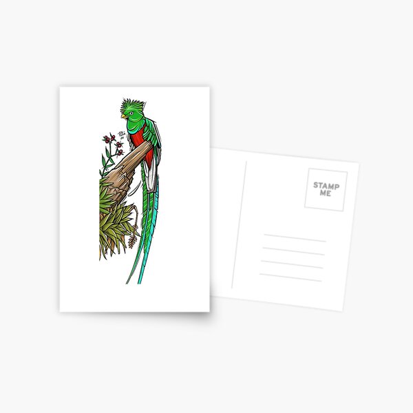 Quetzal pegatina Postal