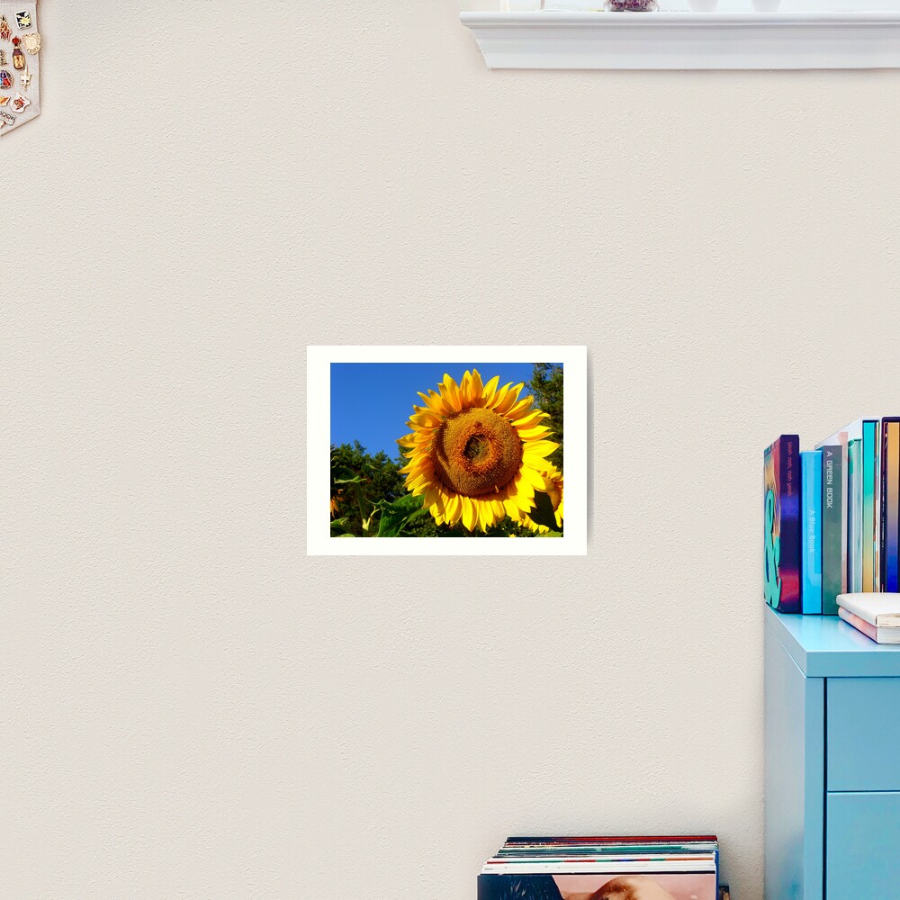 Keep Your Face to the Sun Art Print