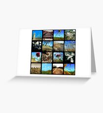 Through the Viewfinder Polyptych Greeting Card