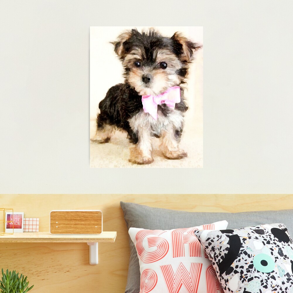 The Stupell Home Decor Collection Orange Yorkie Puppy Dog Fashion Purse  Accessories by Ziwei Li Floater Frame Animal Wall Art Print 31 in. x 25 in.  am-104_ffg_24x30 - The Home Depot