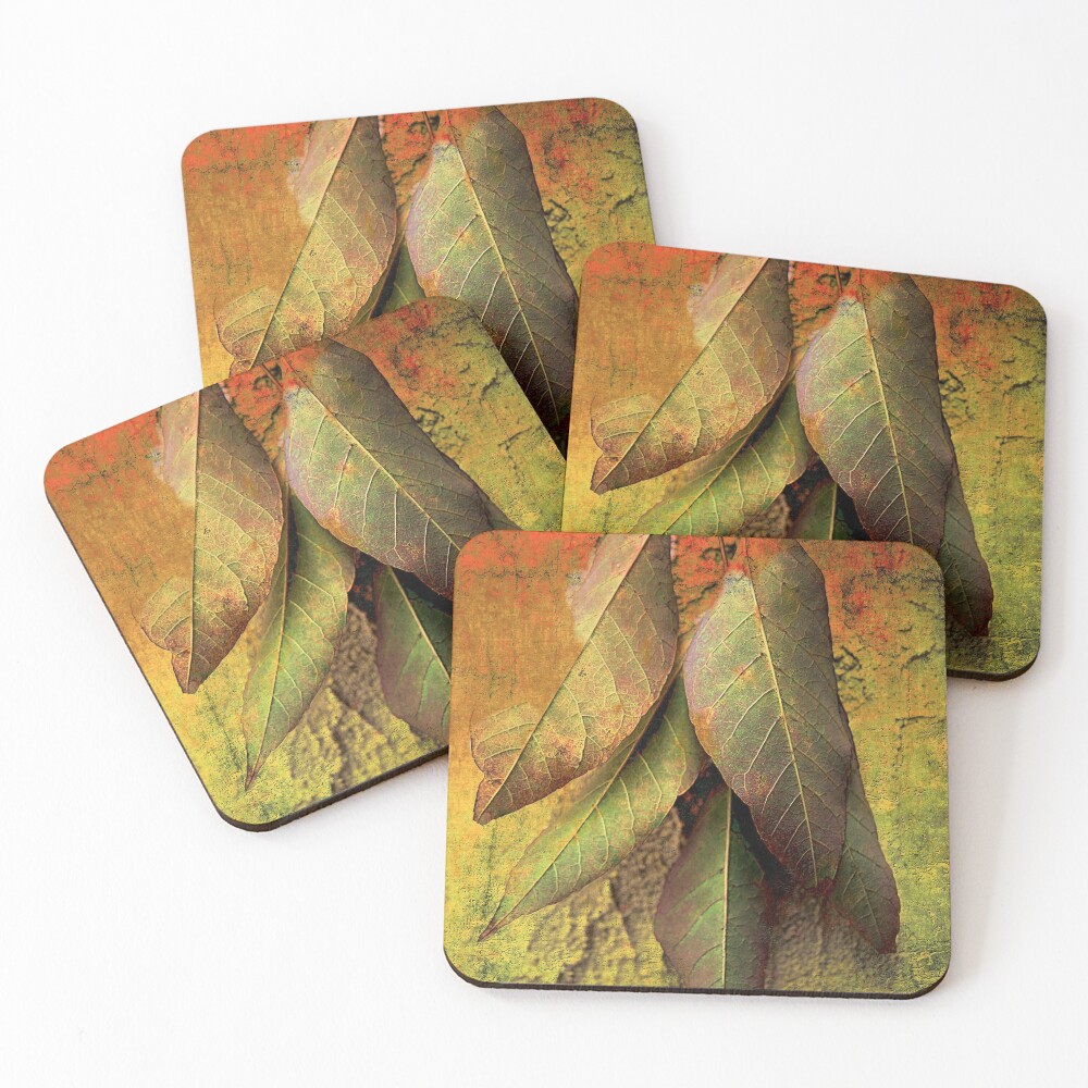 Knock, Knock, Knockin' on Autumn's Door Coasters (Set of 4)