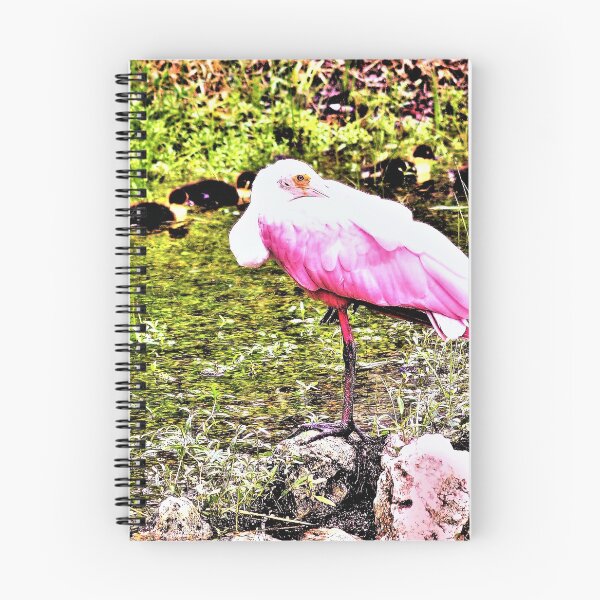 Item preview, A wide beak helps you rest designed and sold by B. Randi Bailey.