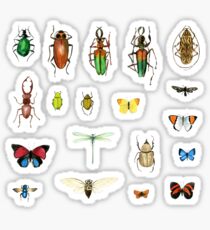The Usual Suspects - Insects on grey - watercolour bugs pattern by Cecca Designs Sticker