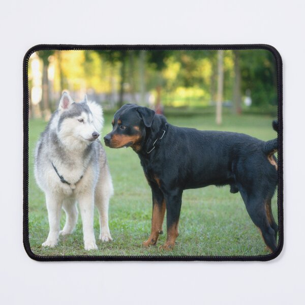 Item preview, Dog Rottweiler and Alaskan Malamute. designed and sold by sinseeho.