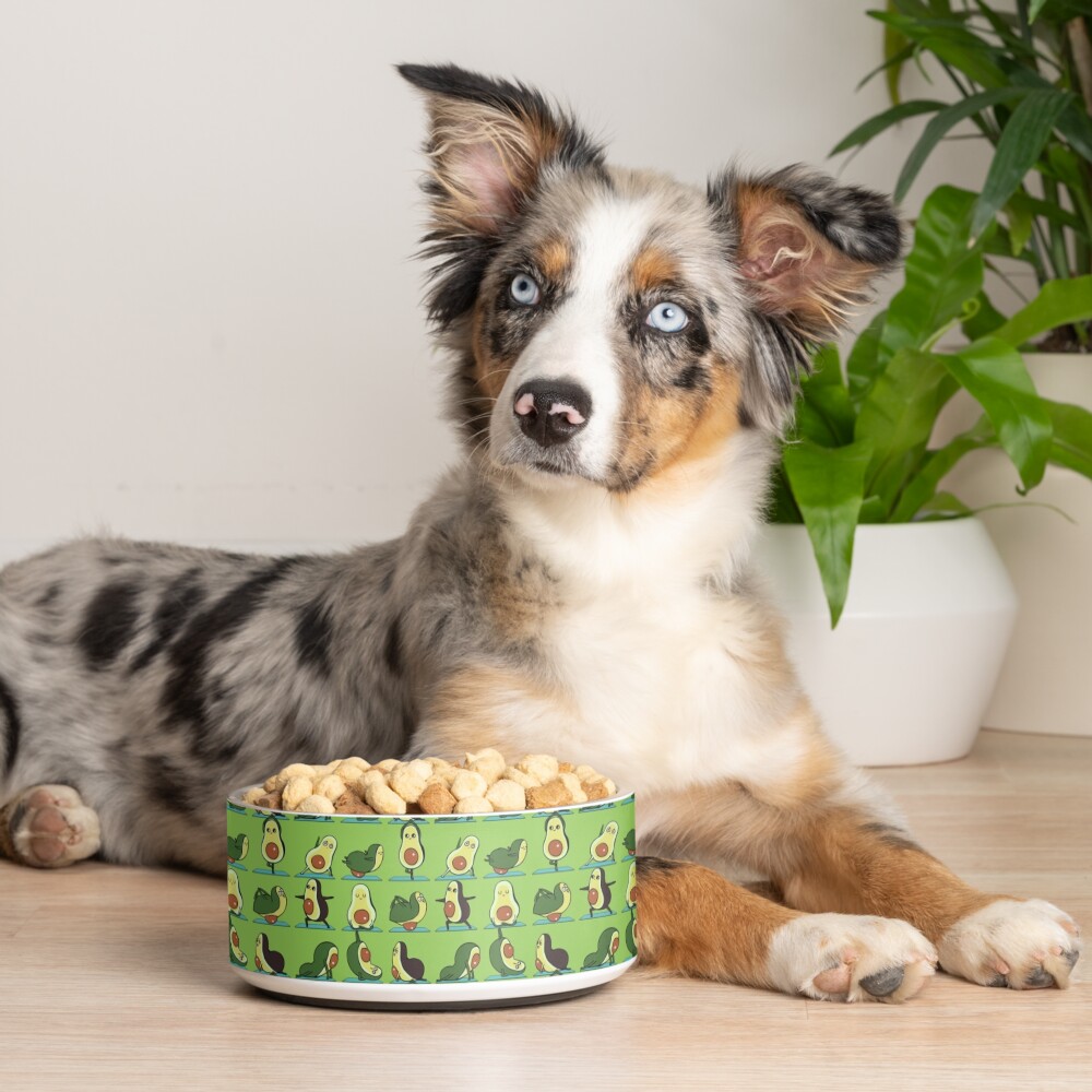 Avocado Yoga Pet Bowl