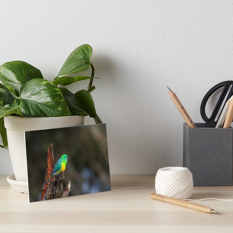 Item preview, Art Board Print designed and sold by jd17.