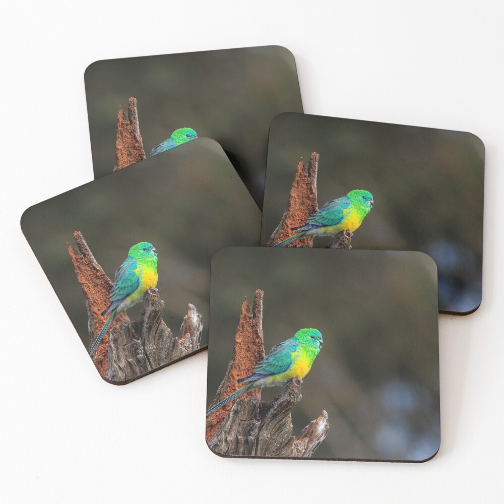 Item preview, Coasters (Set of 4) designed and sold by jd17.