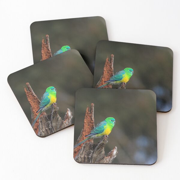 Item preview, Red Rumped Parrot designed and sold by John Dekker.