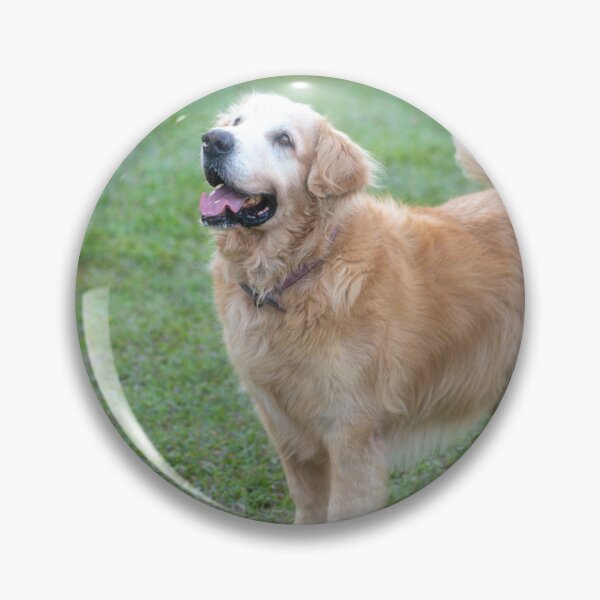 Artikelvorschau, Schöner Golden Retriever-Hund. entworfen und verkauft von sinseeho.