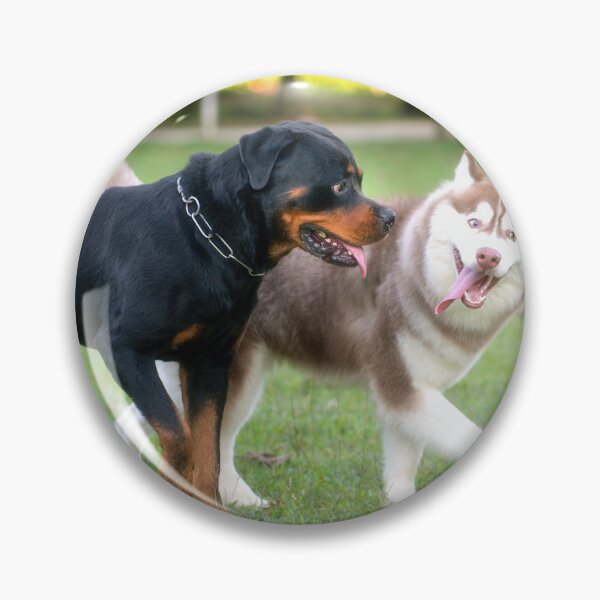 Item preview, Rottweiler dog and Alaskan Malamute in the park. designed and sold by sinseeho.