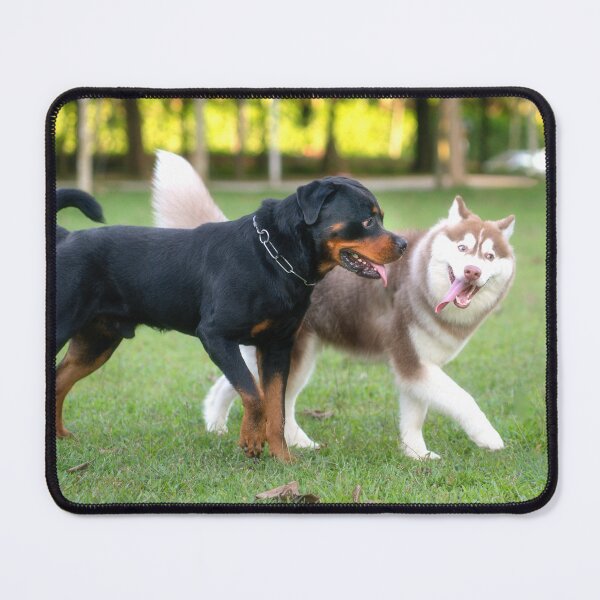 Item preview, Rottweiler dog and Alaskan Malamute in the park. designed and sold by sinseeho.