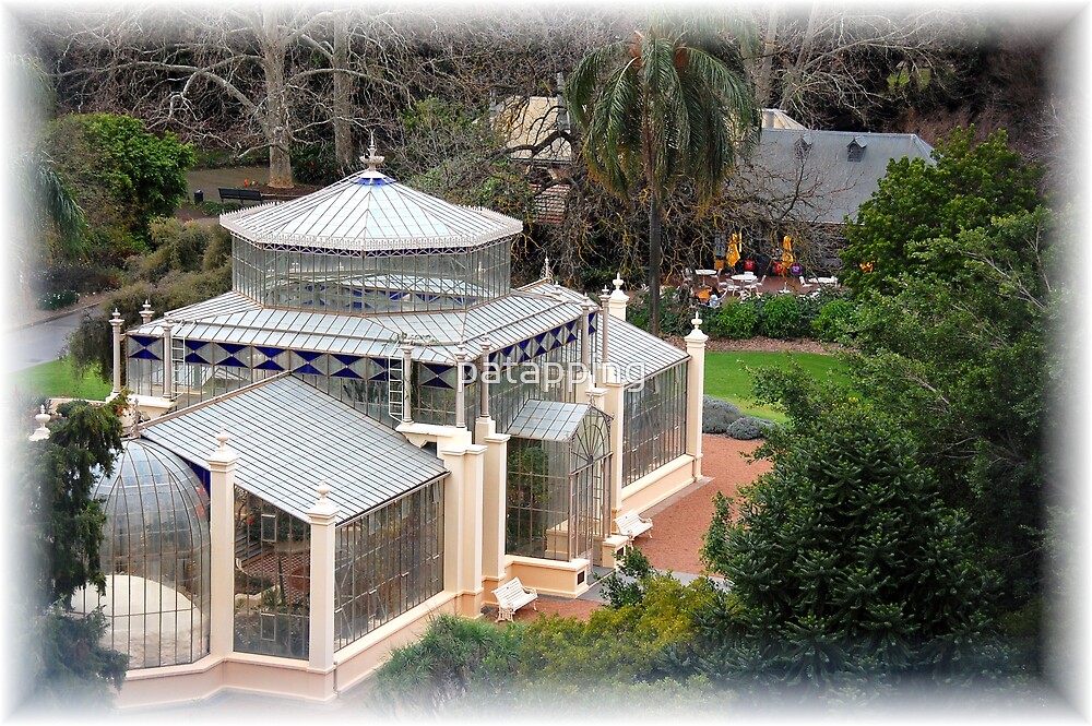 "Glass House, Botanic Gardens. Adelaide. S.A" by patapping | Redbubble