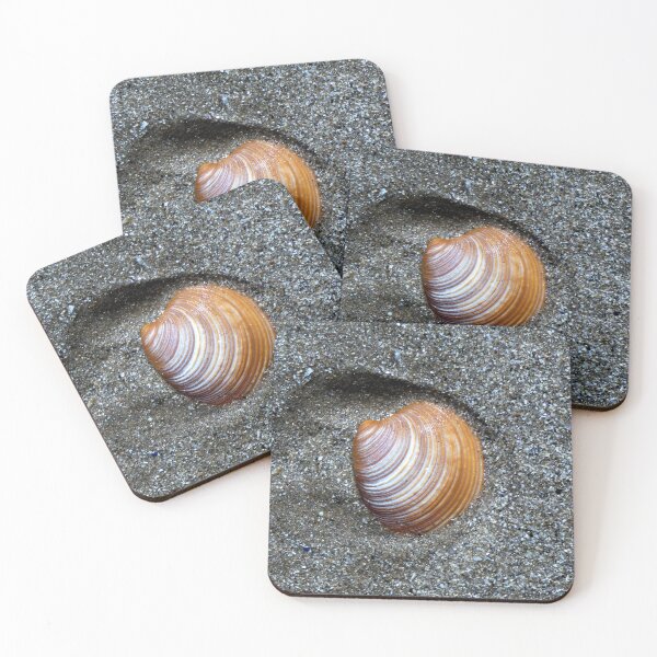 Item preview, shell designed and sold by KathleenDawson.