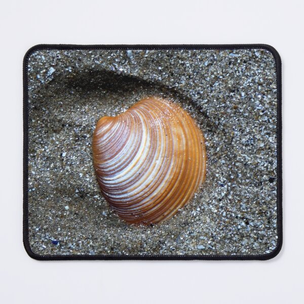 Item preview, shell designed and sold by KathleenDawson.