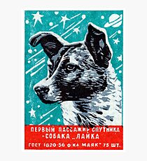 Lámina fotográfica 1957 Laika el perro espacial