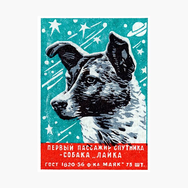 1957 Laika the Space Dog Photographic Print