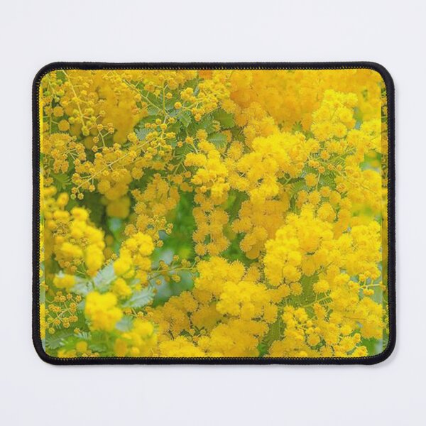 Item preview, atural view contacts natural view landscaping nature aerial designed and sold by thechoice1.