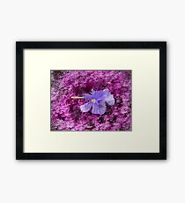 The Kale & The Pansy Framed Print