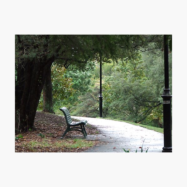 Item preview, Nelson Cathedral Park designed and sold by ikaros.