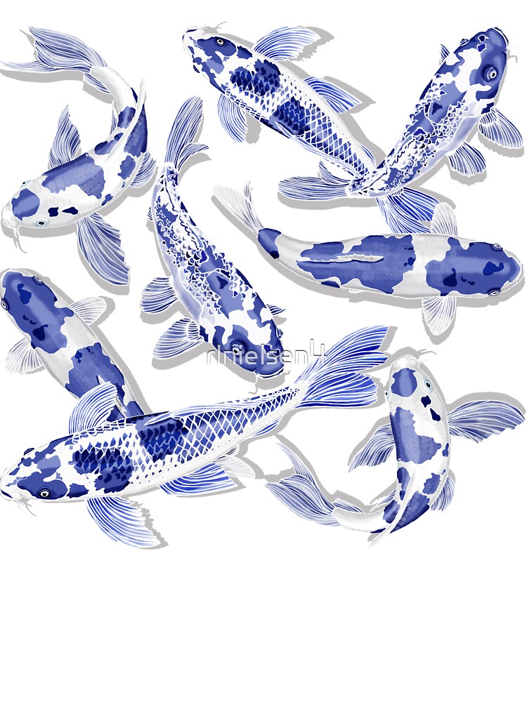 buy blue koi fish