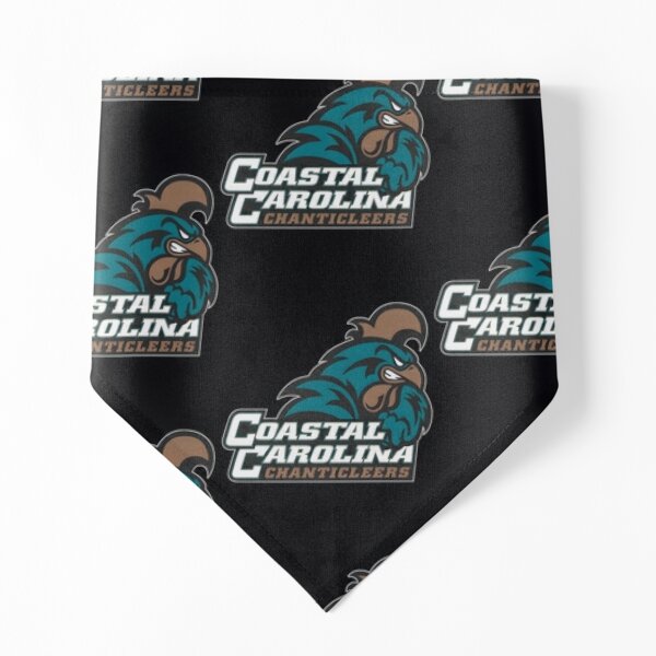 Coastal Carolina Chanticleers 12 x 30 Premium Pennant