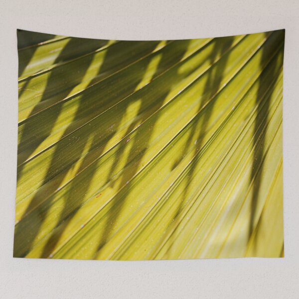 Item preview, Fan Palm Designer Nature designed and sold by Joy Watson - Natural Light Photography .