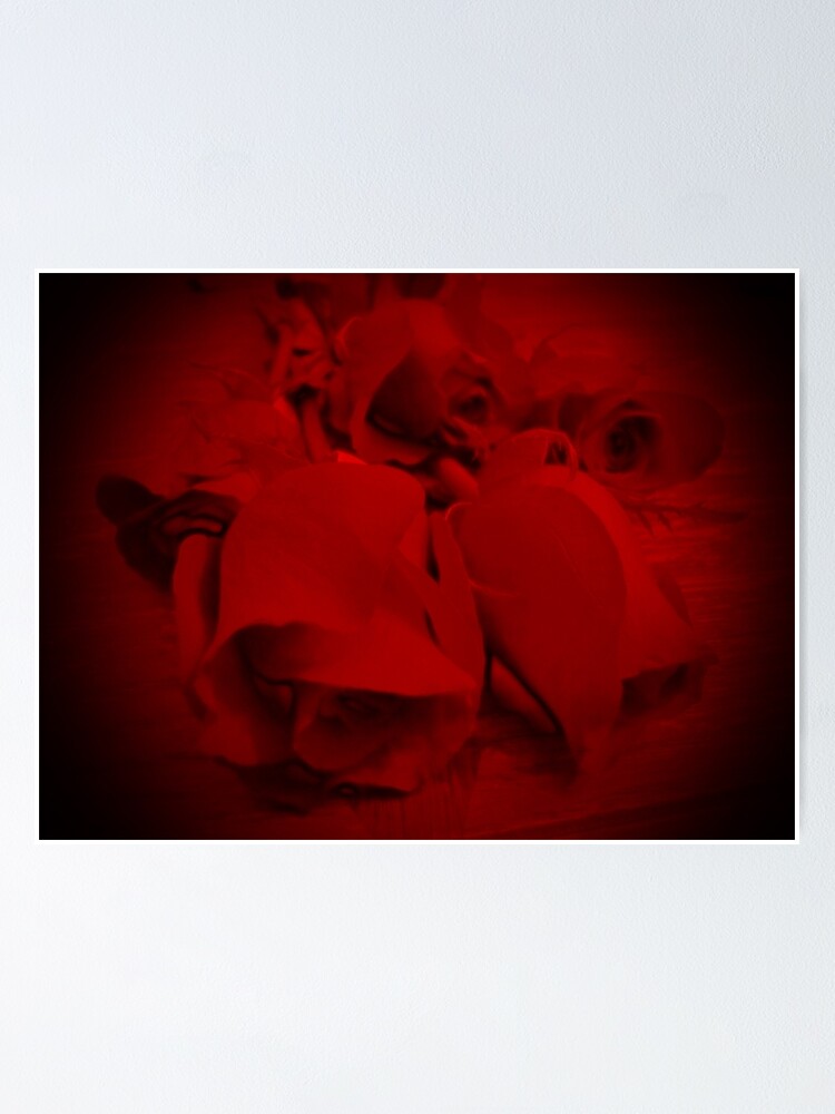 Thumbnail 1 of 3, Poster, Beautiful Red Roses designed and sold by adriturner.