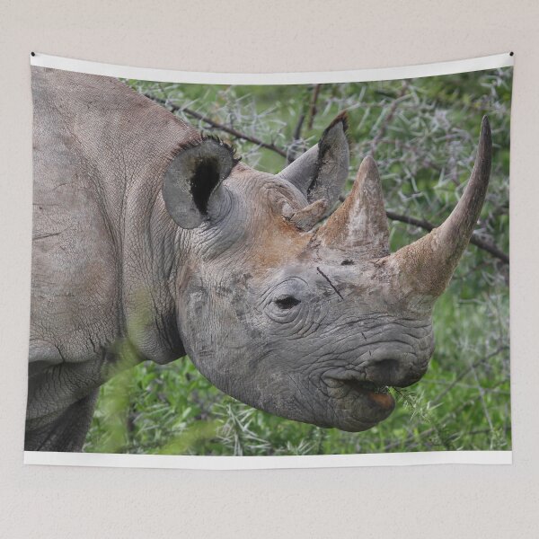 Item preview, Black Rhino designed and sold by Heidi Ingram.
