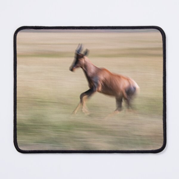 Item preview, Topi Gazelle in full flight designed and sold by Ingo Gerlach.
