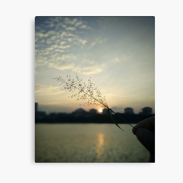 Item preview, Reeds in the twilight designed and sold by Dhvminh.