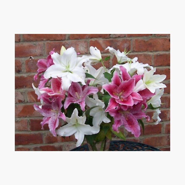 Item preview, Flowers  photo Or how to stay happily married for 40 years designed and sold by sword.