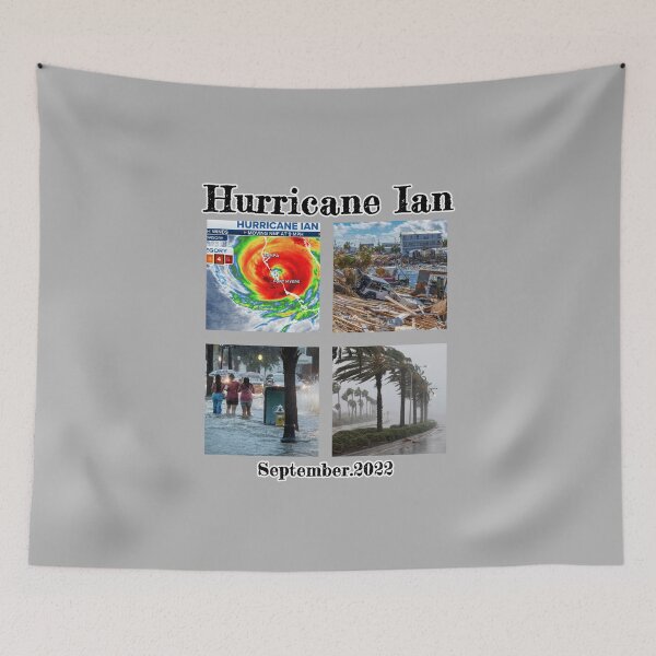 Item preview, Hurricane Ian 2022 Florida South Carolina designed and sold by PodiShawna.