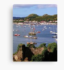 River Conwy Canvas Print