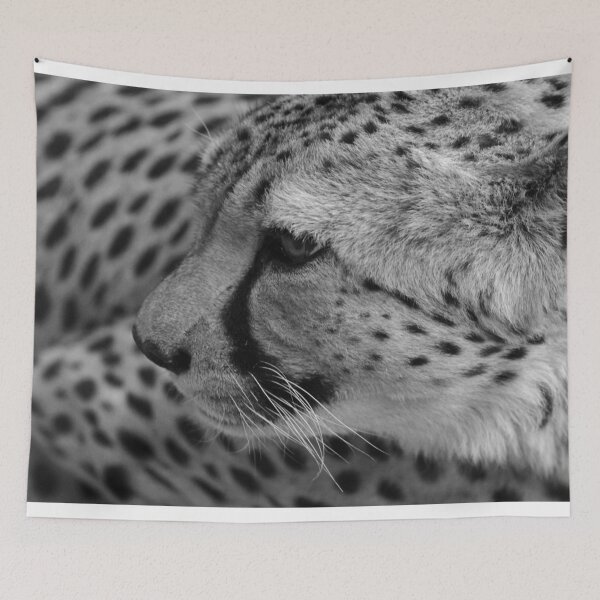 Item preview, Cheetah designed and sold by Heidi Ingram.