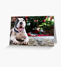 Holiday Joy Greeting Card