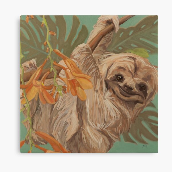 Sloth Carlos Canvas Print