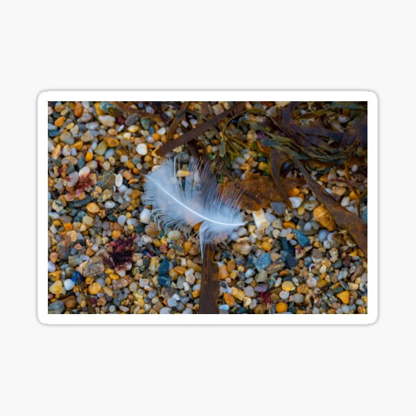 Aperçu de l'œuvre Plume sur la plage de galets colorés créée et vendue par OskiOnTour.