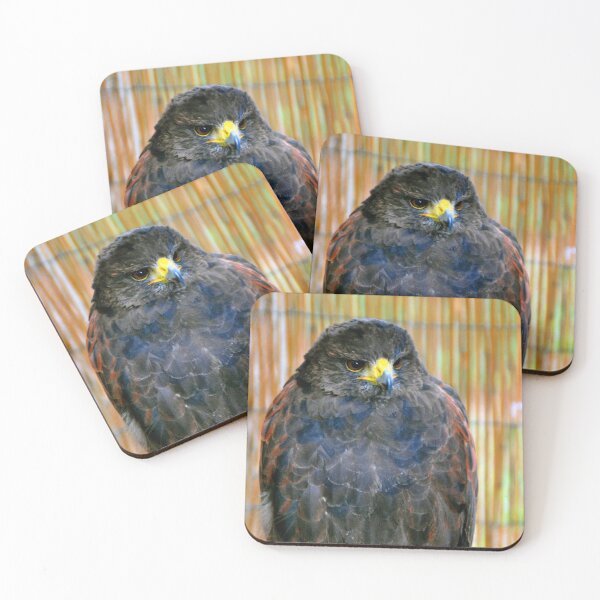 Item preview, Harris Hawk Bird Of Prey designed and sold by AndyEvansPhotos.