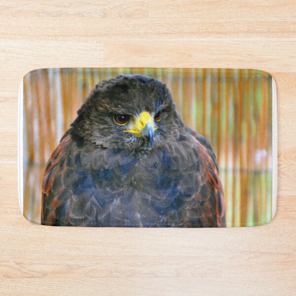 Item preview, Harris Hawk Bird Of Prey designed and sold by AndyEvansPhotos.