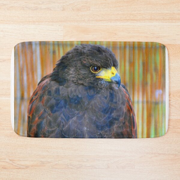 Item preview, Harris Hawk Bird Of Prey designed and sold by AndyEvansPhotos.
