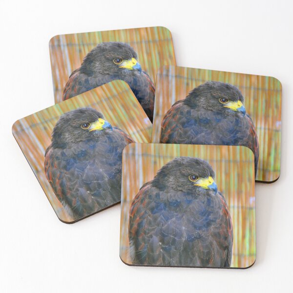 Item preview, Harris Hawk Bird Of Prey designed and sold by AndyEvansPhotos.