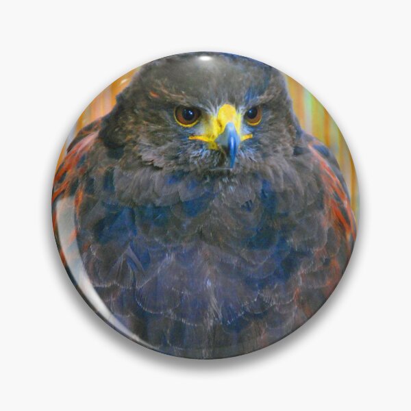 Item preview, Harris Hawk Bird Of Prey designed and sold by AndyEvansPhotos.