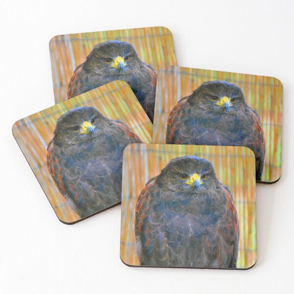 Item preview, Harris Hawk Bird Of Prey designed and sold by AndyEvansPhotos.