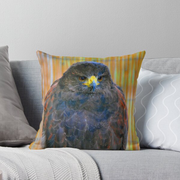 Item preview, Harris Hawk Bird Of Prey designed and sold by AndyEvansPhotos.