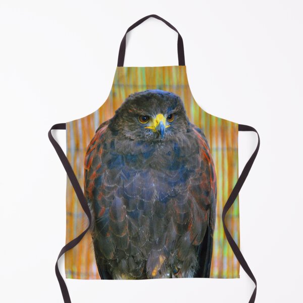 Item preview, Harris Hawk Bird Of Prey designed and sold by AndyEvansPhotos.