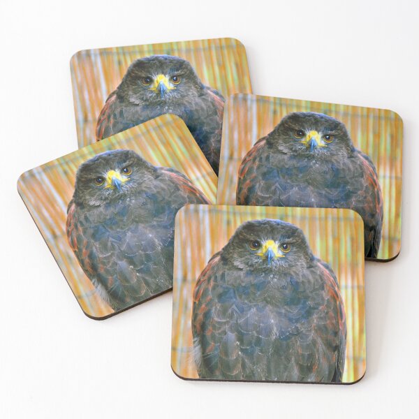 Item preview, Harris Hawk Bird Of Prey designed and sold by AndyEvansPhotos.