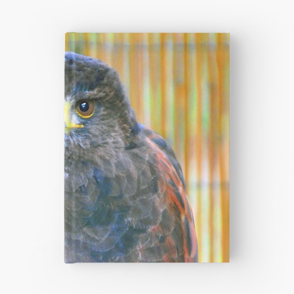 Item preview, Harris Hawk Bird Of Prey designed and sold by AndyEvansPhotos.