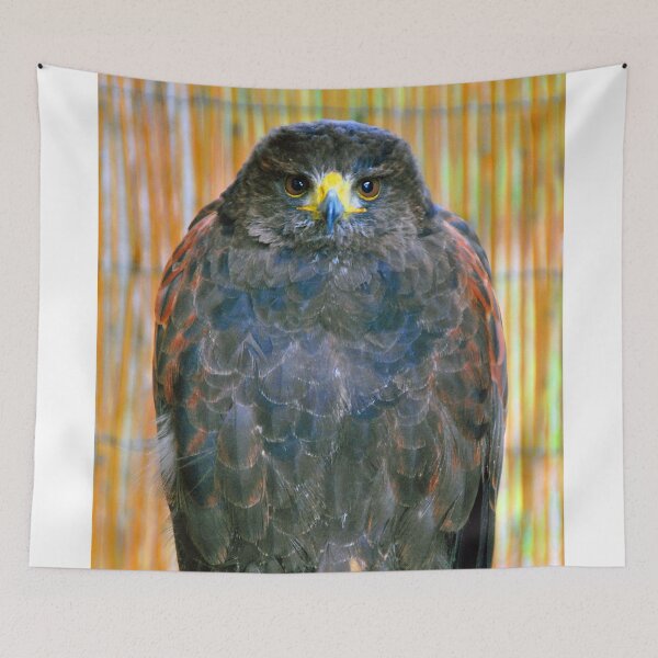 Item preview, Harris Hawk Bird Of Prey designed and sold by AndyEvansPhotos.