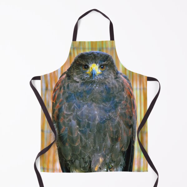 Item preview, Harris Hawk Bird Of Prey designed and sold by AndyEvansPhotos.